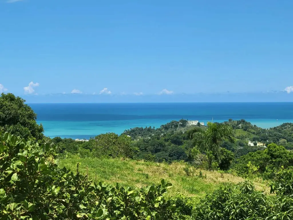 Vista al mar desde el terreno de Talipot Ecolodge Miches