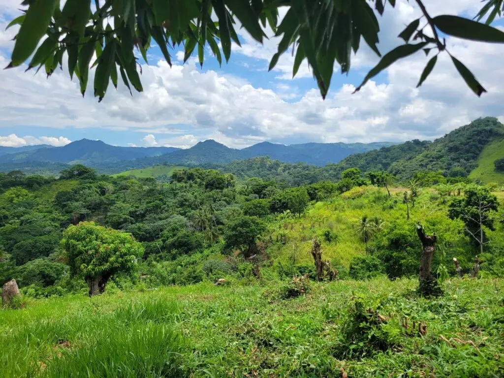 Vista a la cadena de montañas desde el terreno de Talipot Ecolodge Miches